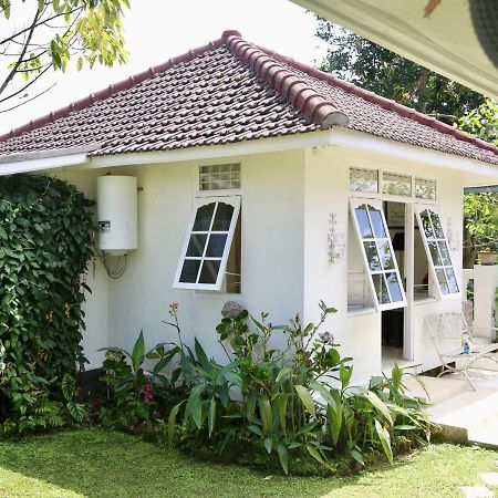 Pondok Plantation Luxury Mountain Escape Bedugul Бедугул Экстерьер фото