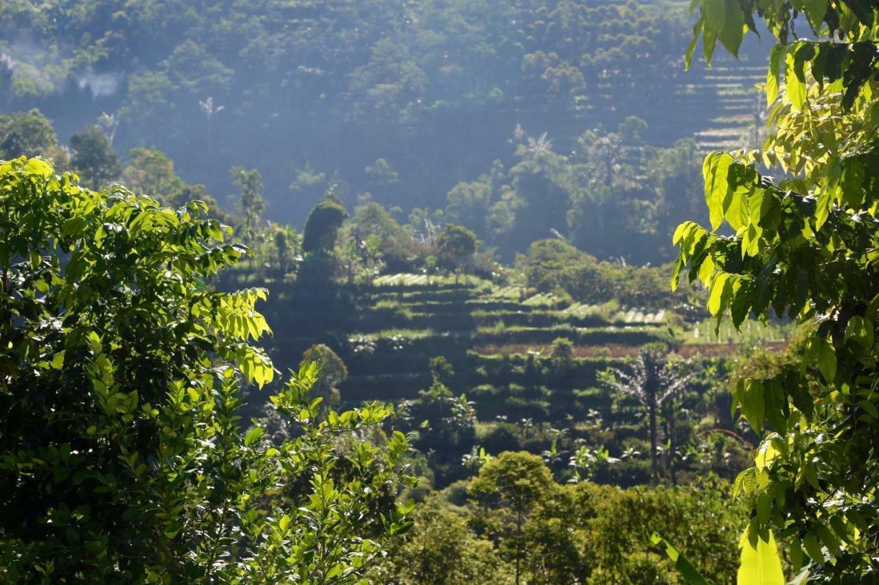 Pondok Plantation Luxury Mountain Escape Bedugul Бедугул Экстерьер фото