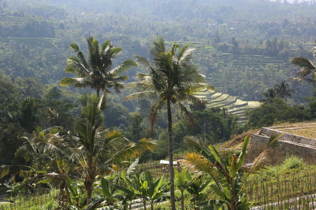 Pondok Plantation Luxury Mountain Escape Bedugul Бедугул Экстерьер фото