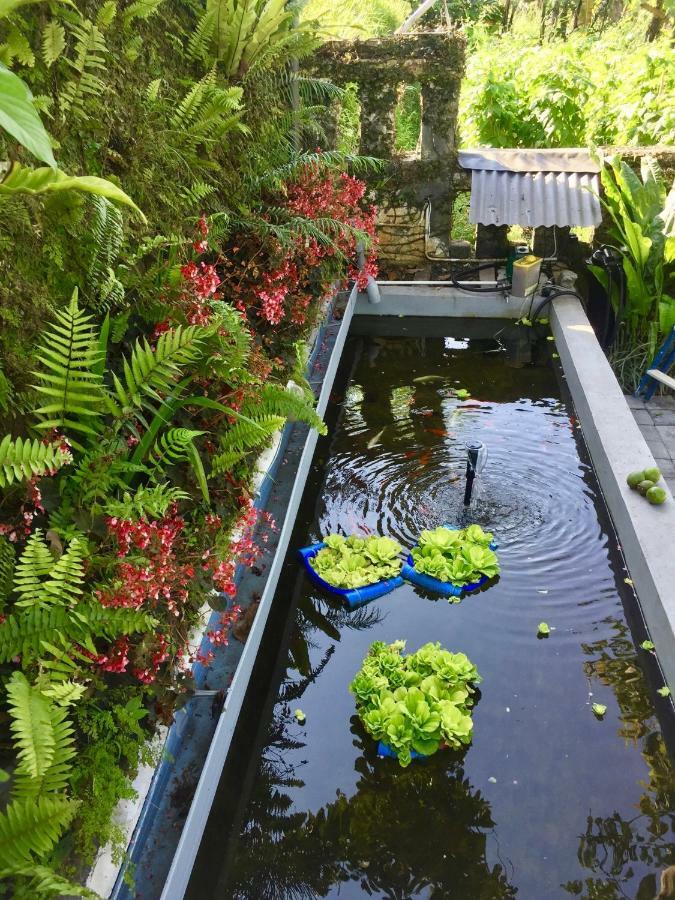 Pondok Plantation Luxury Mountain Escape Bedugul Бедугул Экстерьер фото