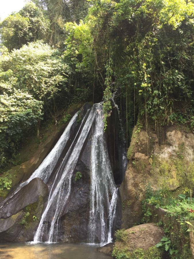 Pondok Plantation Luxury Mountain Escape Bedugul Бедугул Экстерьер фото
