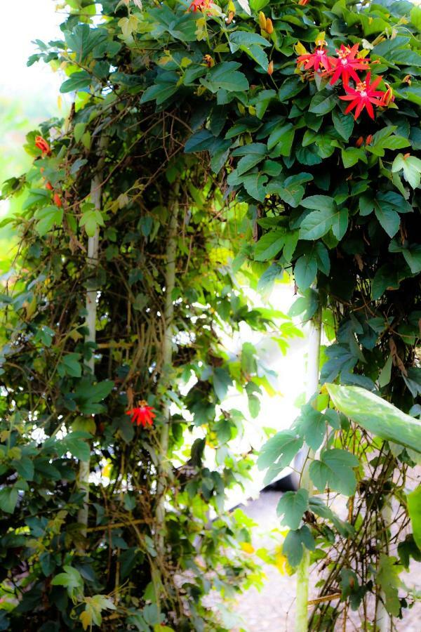 Pondok Plantation Luxury Mountain Escape Bedugul Бедугул Экстерьер фото