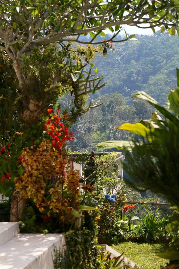 Pondok Plantation Luxury Mountain Escape Bedugul Бедугул Экстерьер фото